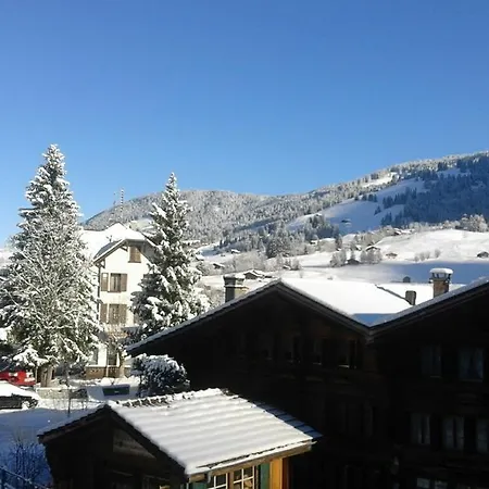 Restaurant Baren Inn Gsteig